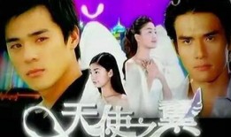 台剧天使之翼在线观看,探寻爱与救赎的翅膀之旅